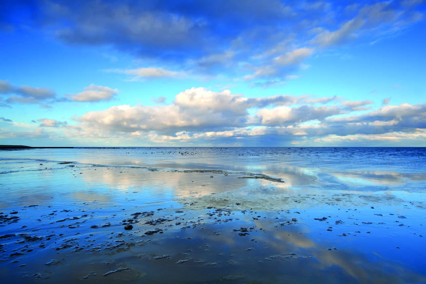 Waddenzee