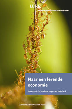 Cover Naar een lerende economie 250x375